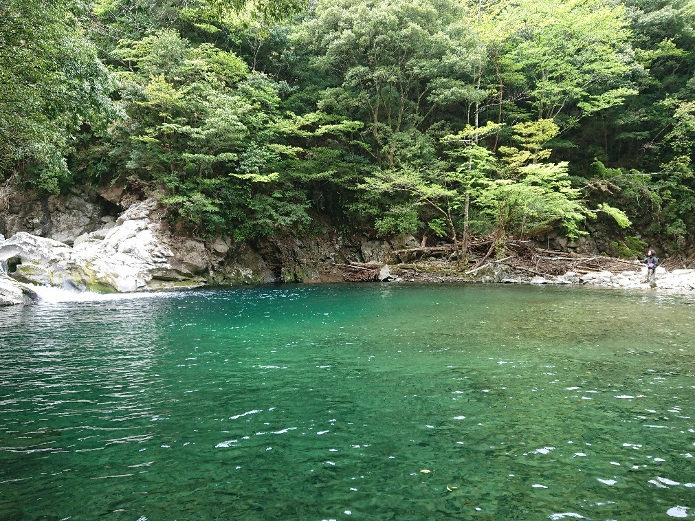滝壺とグリーンバック 第3の釣り 滝壺とグリーンバック 第3の釣り