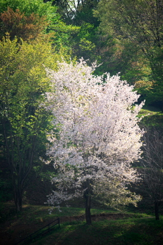 a0263109_12214071.jpg