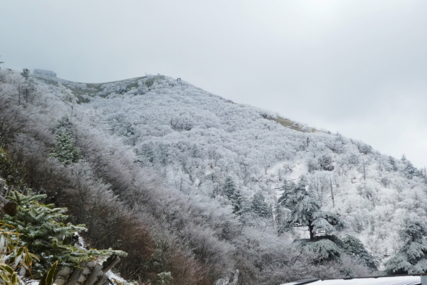 平成最後の登山　日本百名山　剣山 (1,954.7M)   登頂 編_d0170615_18442654.jpg