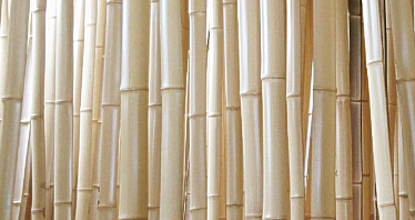 竹林派のかたち : 竹の階段