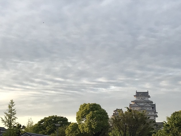 a0285828_16423624.jpeg