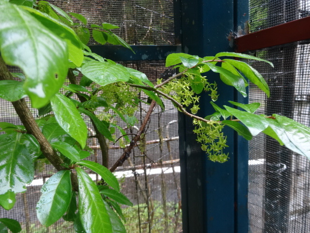 f0177529_22263840.jpg