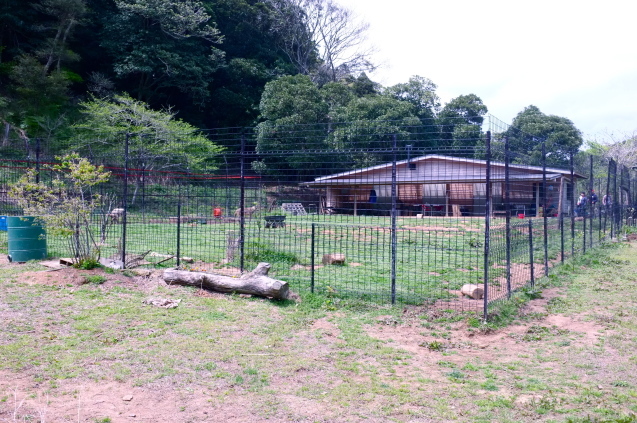 c0308431_10560949.jpg