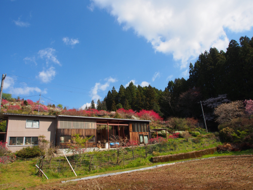 b0185232_00110284.jpg
