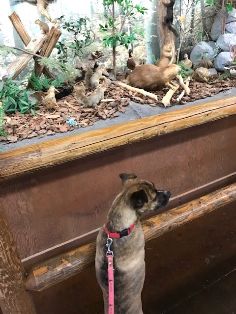 d0269832_19451982.jpeg