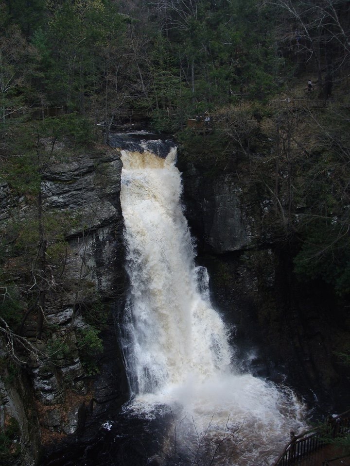 d0269832_19471392.jpeg