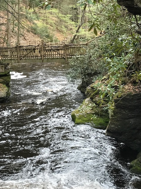 d0269832_19501292.jpeg