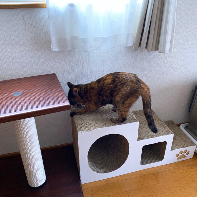 退院しました!_d0355333_19165587.jpg