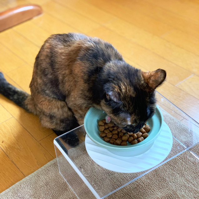 退院しました!_d0355333_19170043.jpg