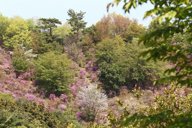 a0242438_12272128.jpg