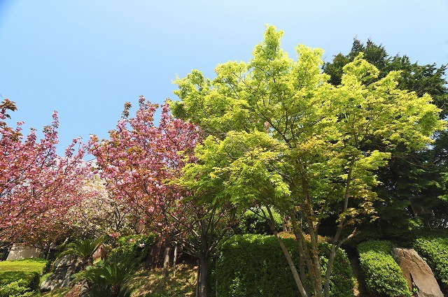 a0242438_12272271.jpg