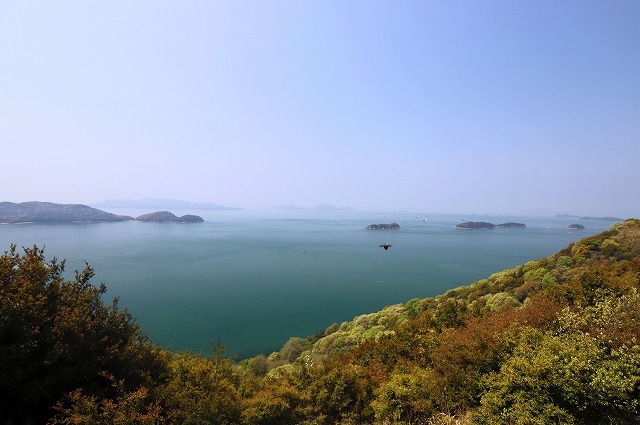 a0242438_12422438.jpg
