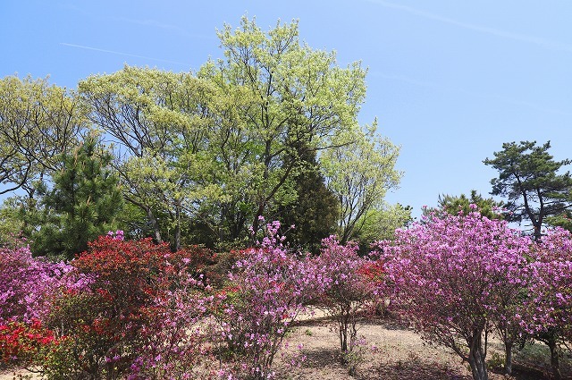 a0242438_12424900.jpg