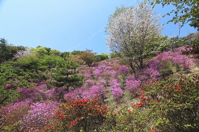 a0242438_12430723.jpg