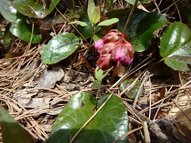 f0334143_8365964.jpg