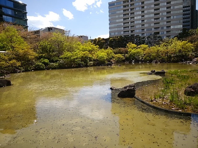 乃木坂にて/2019.4.15_c0315548_16273411.jpg