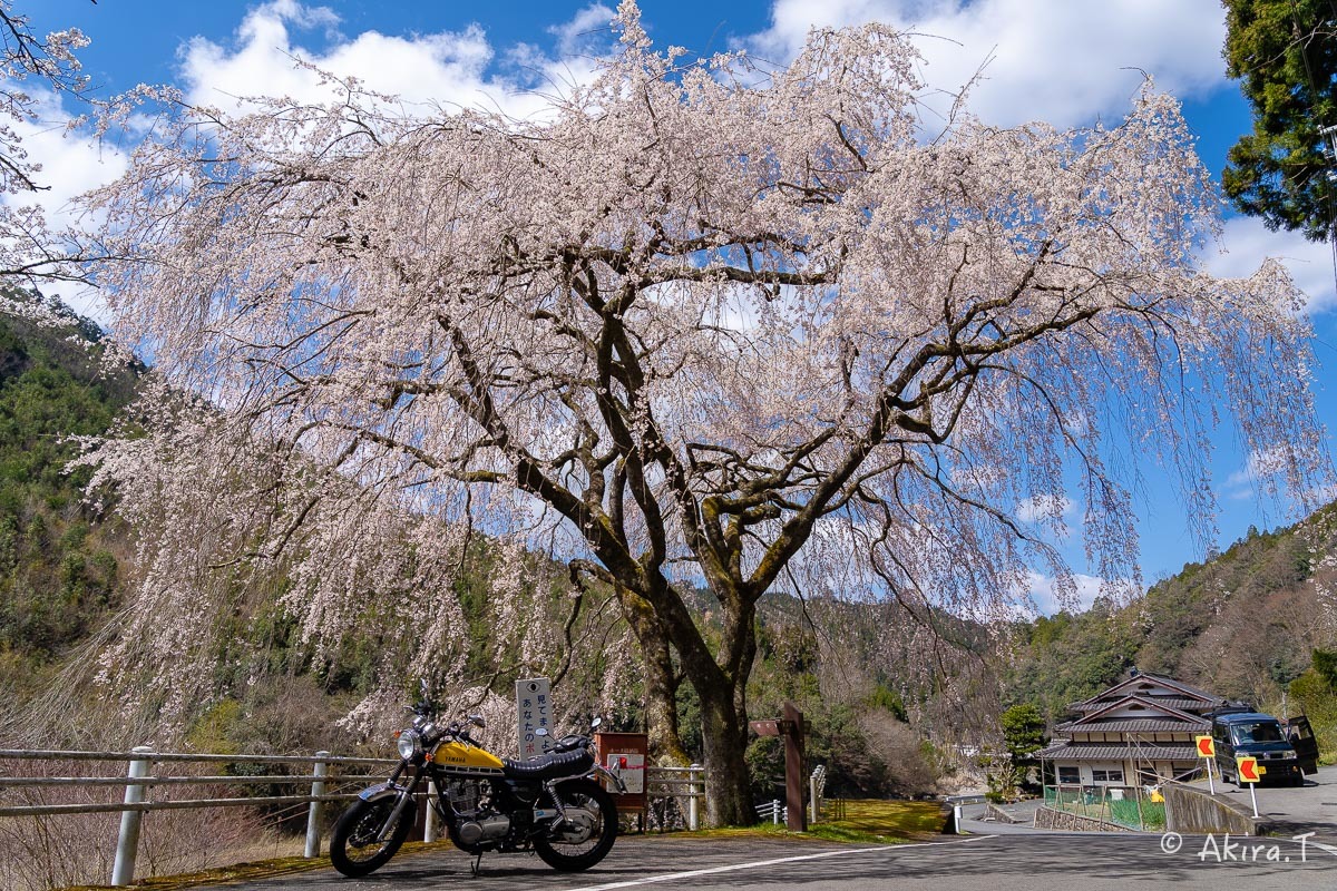 バイクは楽し!! YAMAHA SR400 -51- 🌸_f0152550_18332719.jpg