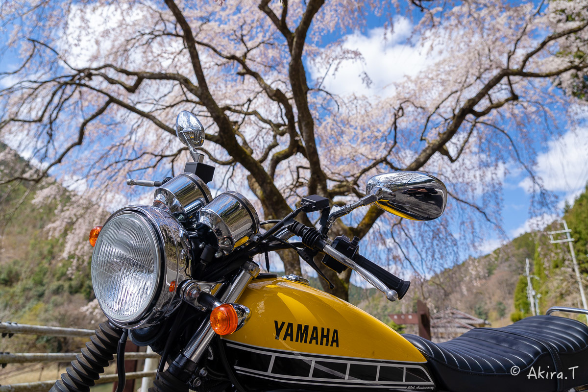 バイクは楽し!! YAMAHA SR400 -51- 🌸_f0152550_18333459.jpg