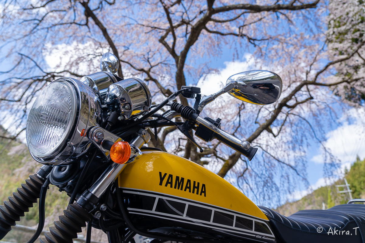 バイクは楽し!! YAMAHA SR400 -51- 🌸_f0152550_18335527.jpg