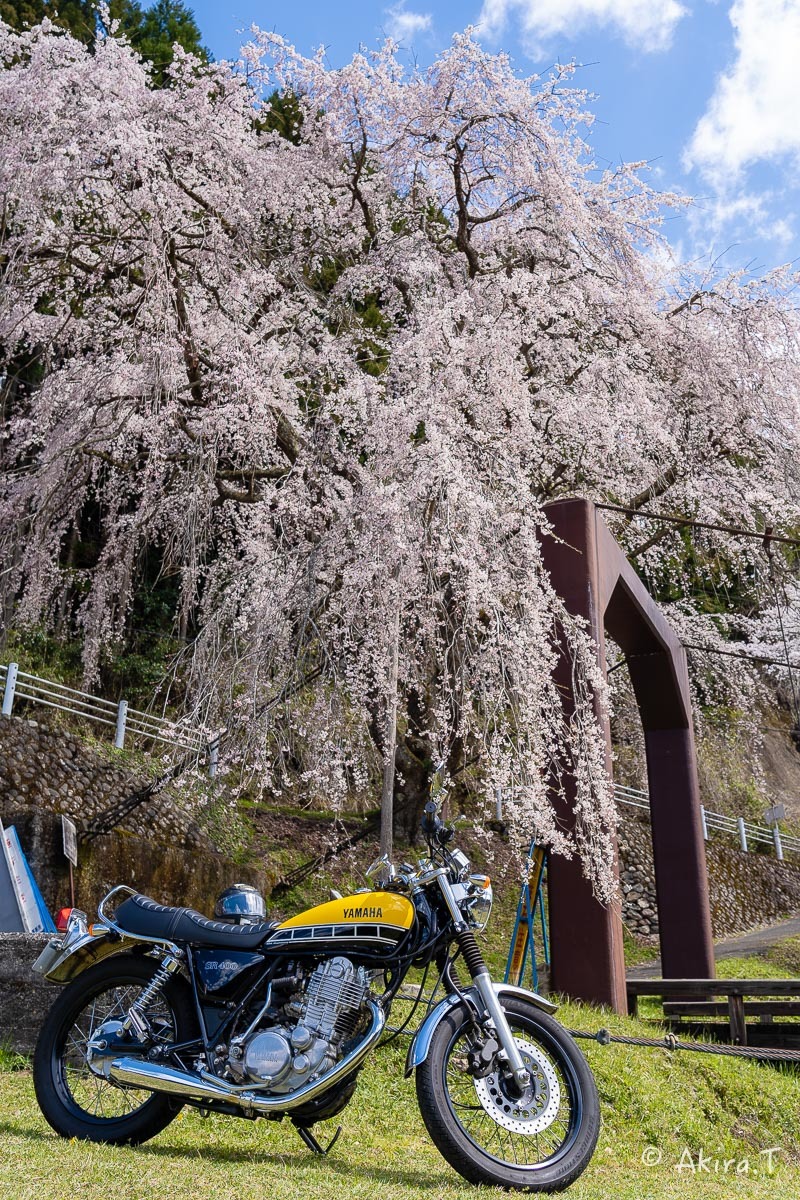バイクは楽し!! YAMAHA SR400 -51- 🌸_f0152550_18340318.jpg