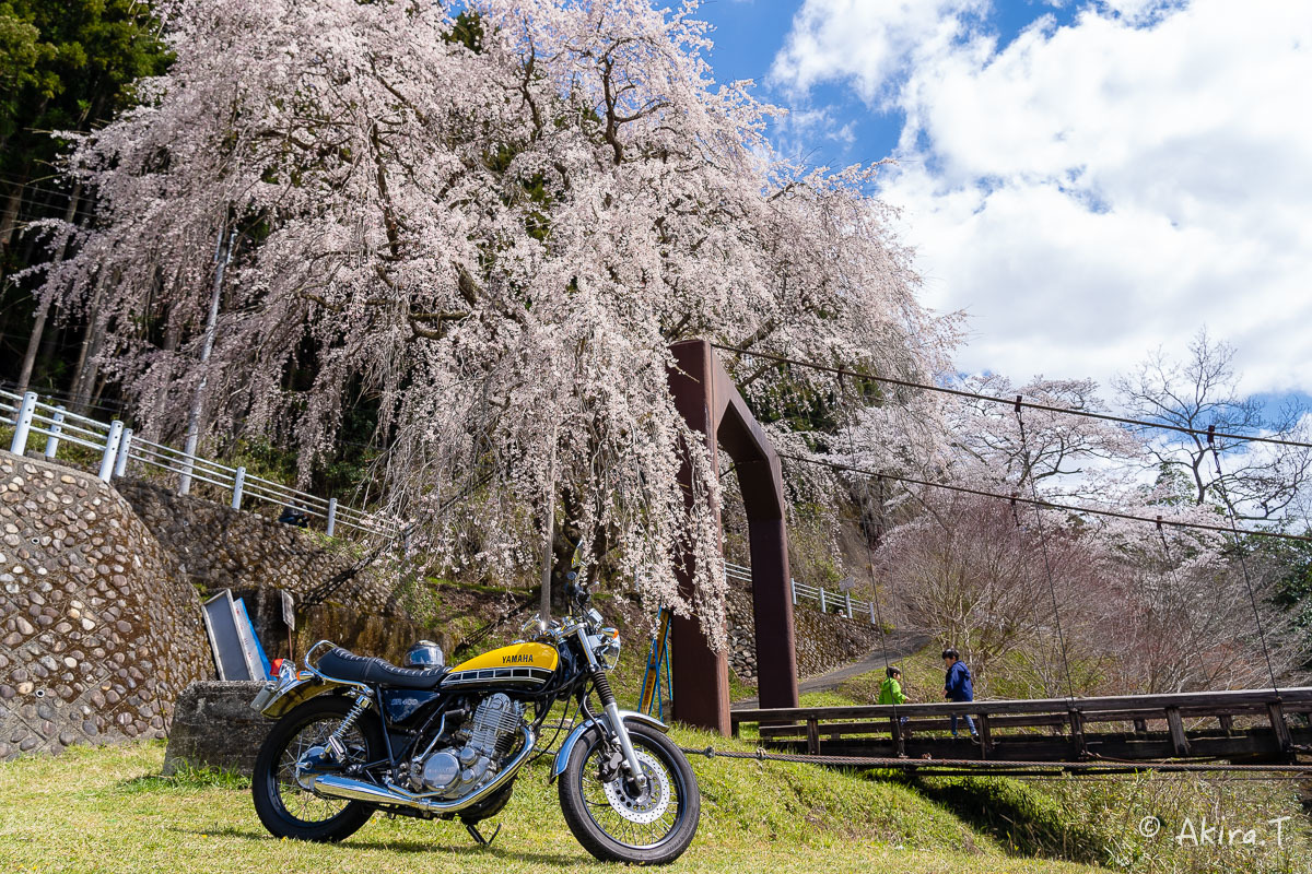 バイクは楽し!! YAMAHA SR400 -51- 🌸_f0152550_18341262.jpg