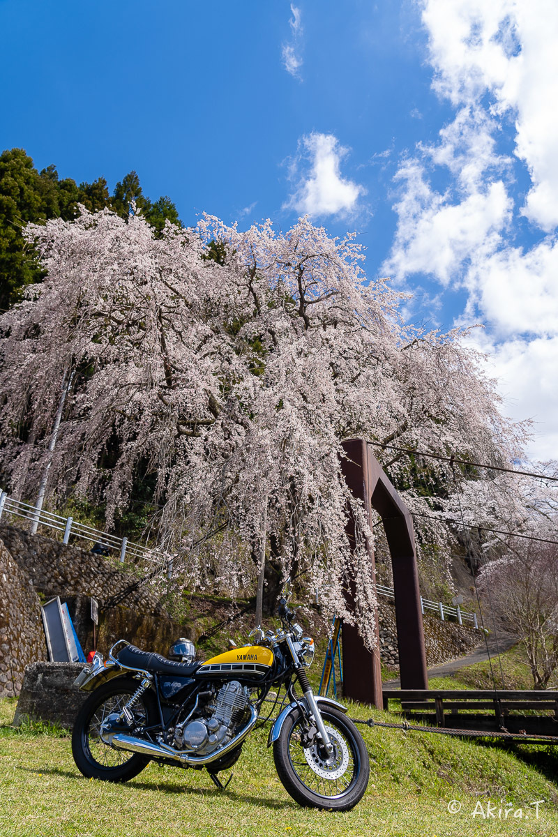 バイクは楽し!! YAMAHA SR400 -51- 🌸_f0152550_18342139.jpg