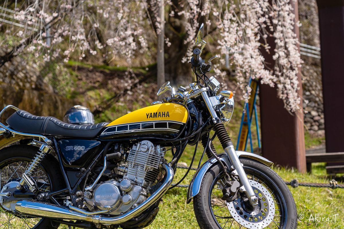 バイクは楽し!! YAMAHA SR400 -51- 🌸_f0152550_18342888.jpg