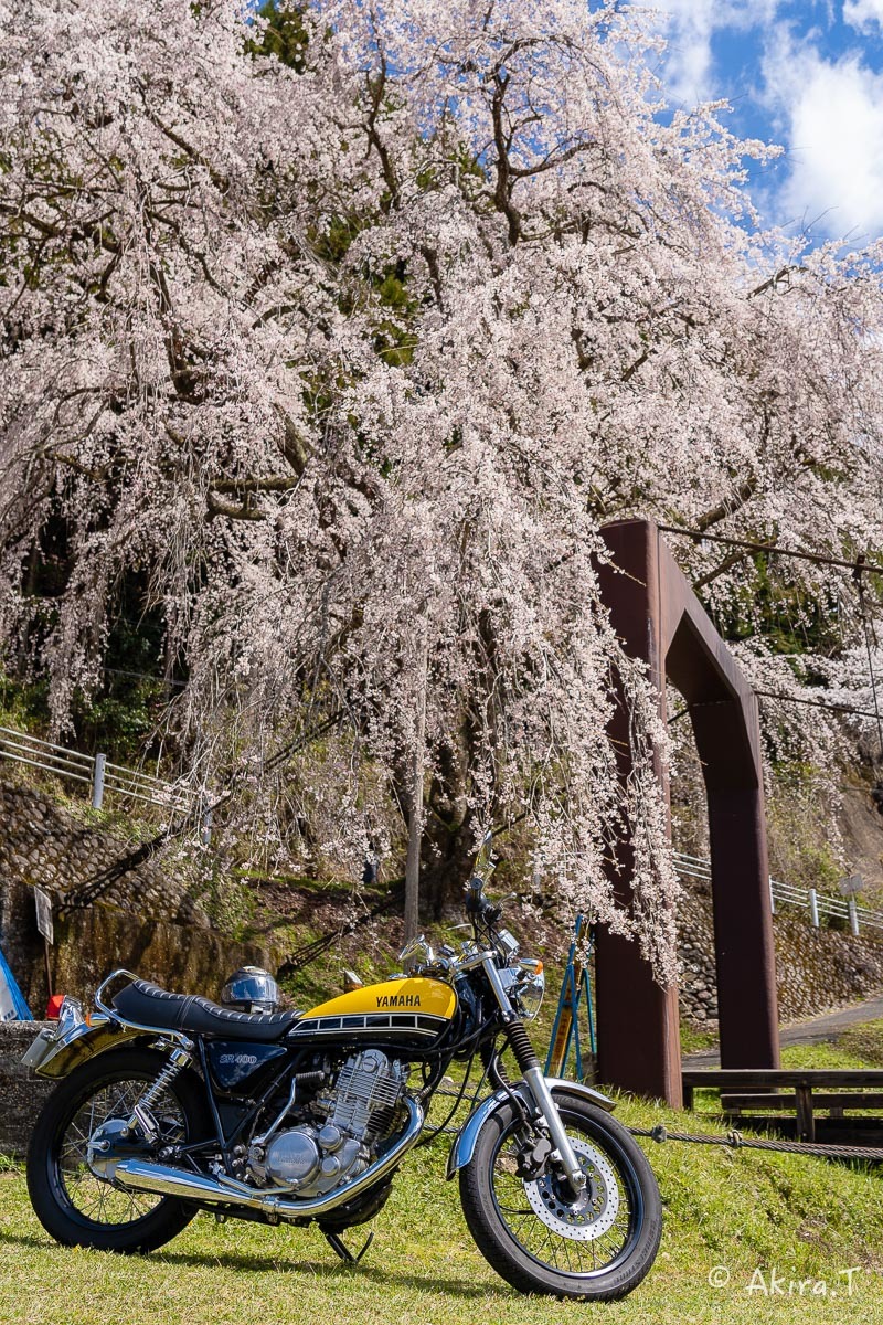 バイクは楽し!! YAMAHA SR400 -51- 🌸_f0152550_18343653.jpg