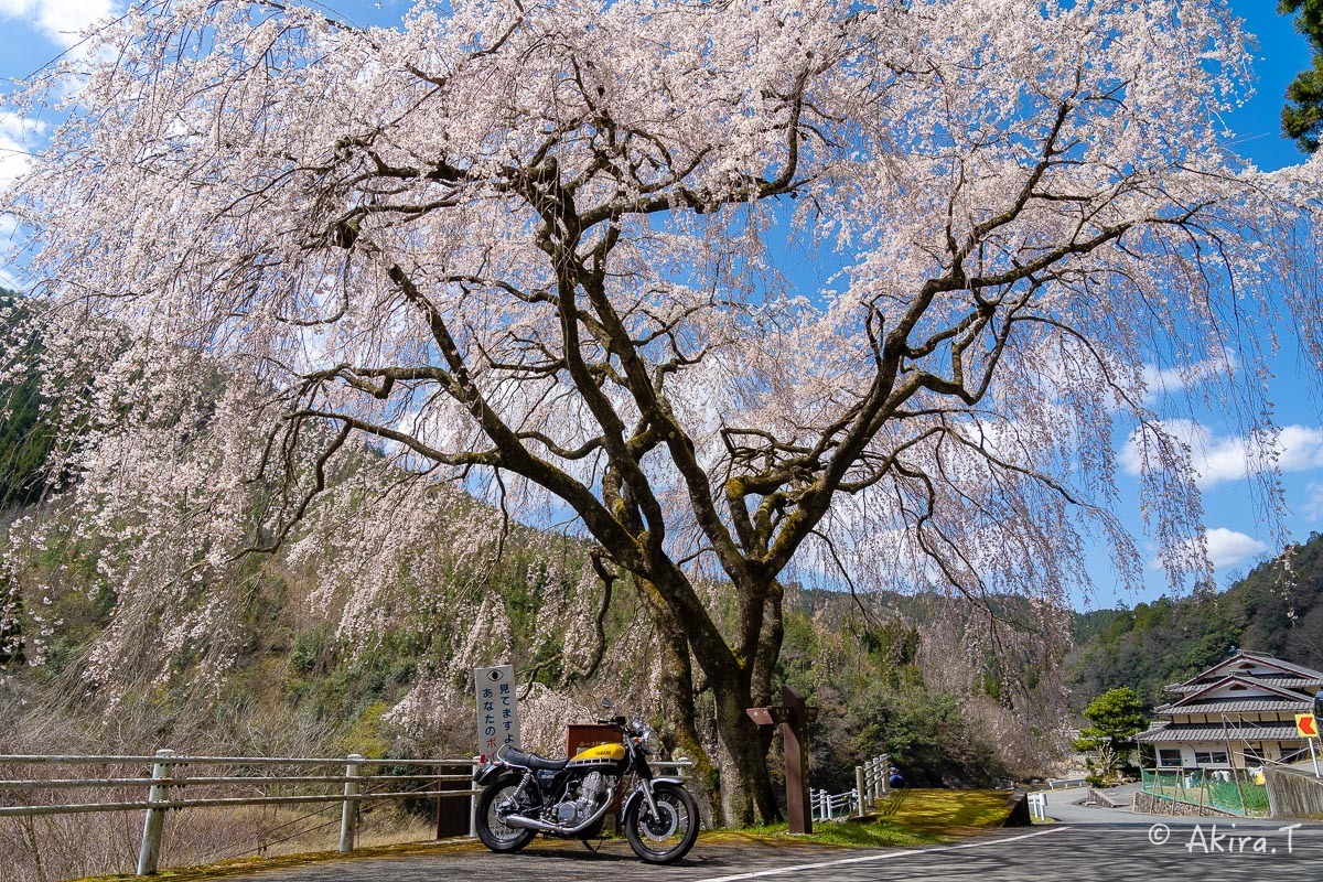 バイクは楽し!! YAMAHA SR400 -51- 🌸_f0152550_18344555.jpg