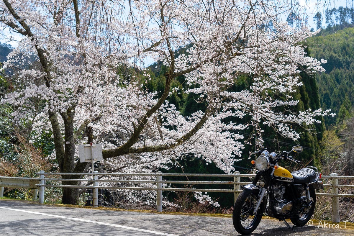 バイクは楽し!! YAMAHA SR400 -51- 🌸_f0152550_18355892.jpg