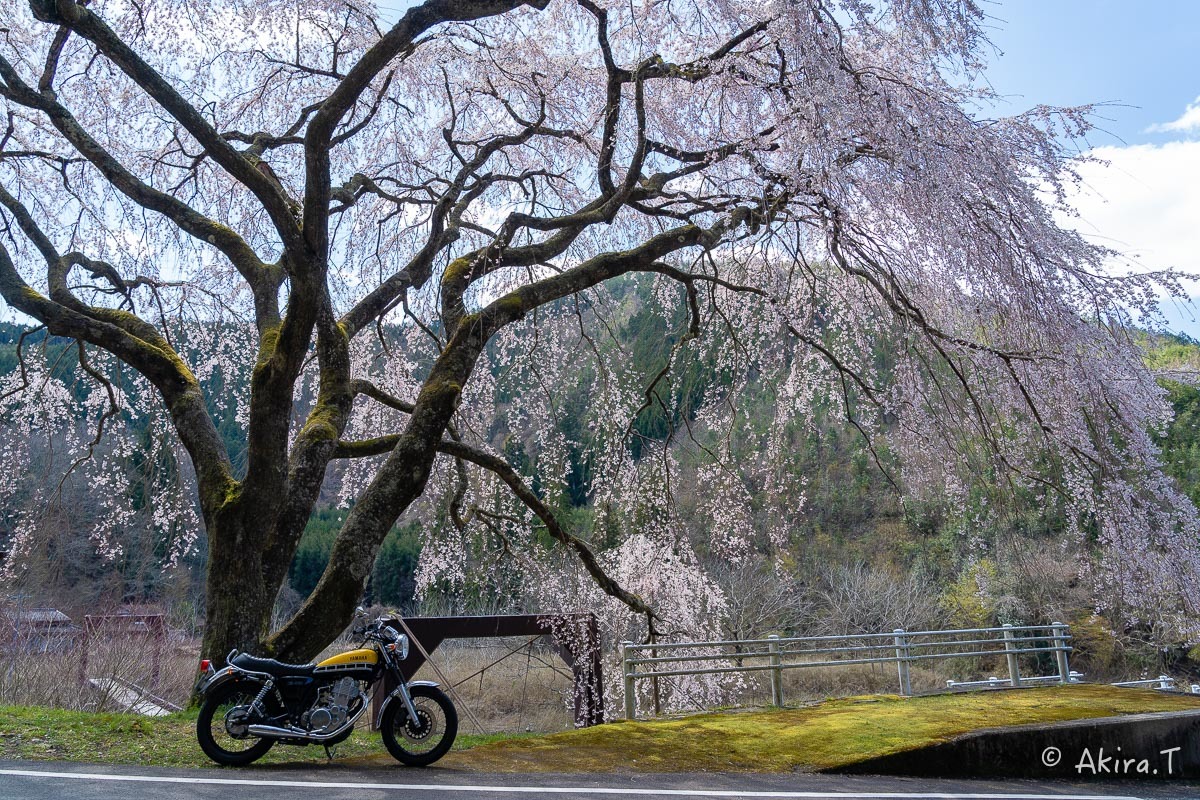 バイクは楽し!! YAMAHA SR400 -51- 🌸_f0152550_18361209.jpg