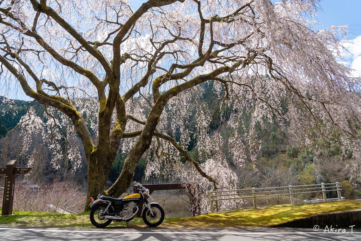 バイクは楽し!! YAMAHA SR400 -51- 🌸_f0152550_18365172.jpg