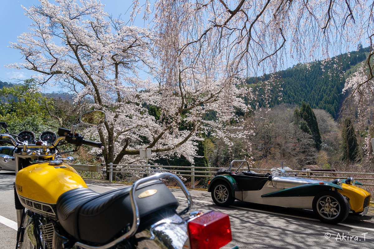バイクは楽し!! YAMAHA SR400 -51- 🌸_f0152550_18370769.jpg
