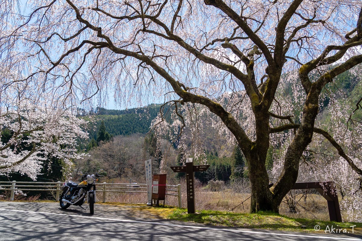 バイクは楽し!! YAMAHA SR400 -51- 🌸_f0152550_18380986.jpg