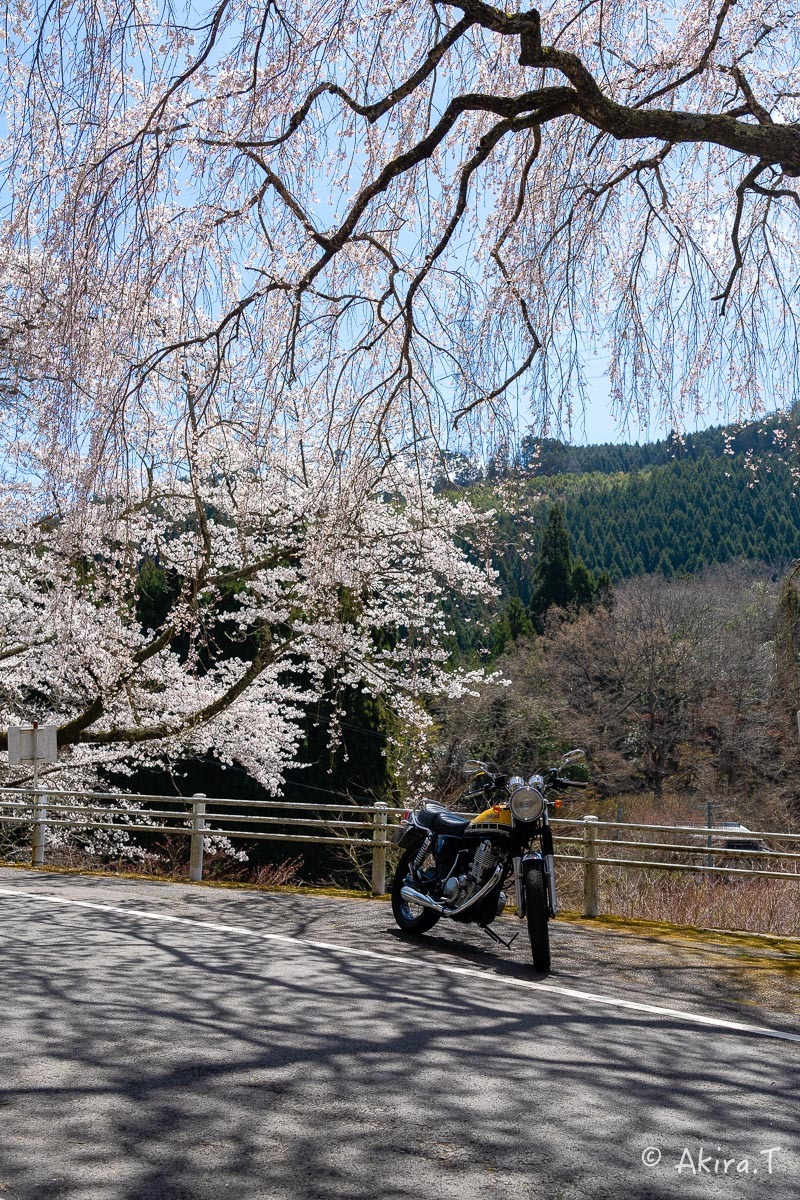 バイクは楽し!! YAMAHA SR400 -51- 🌸_f0152550_18382015.jpg