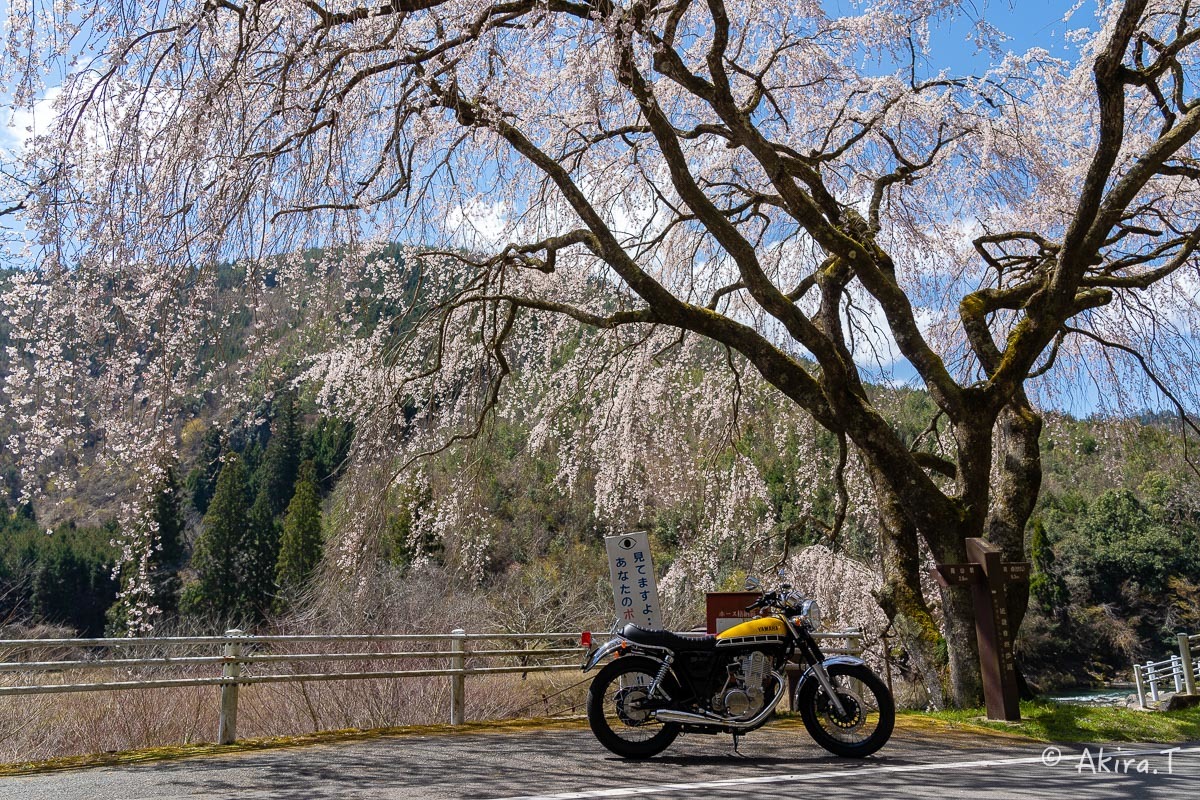 バイクは楽し!! YAMAHA SR400 -51- 🌸_f0152550_18383498.jpg