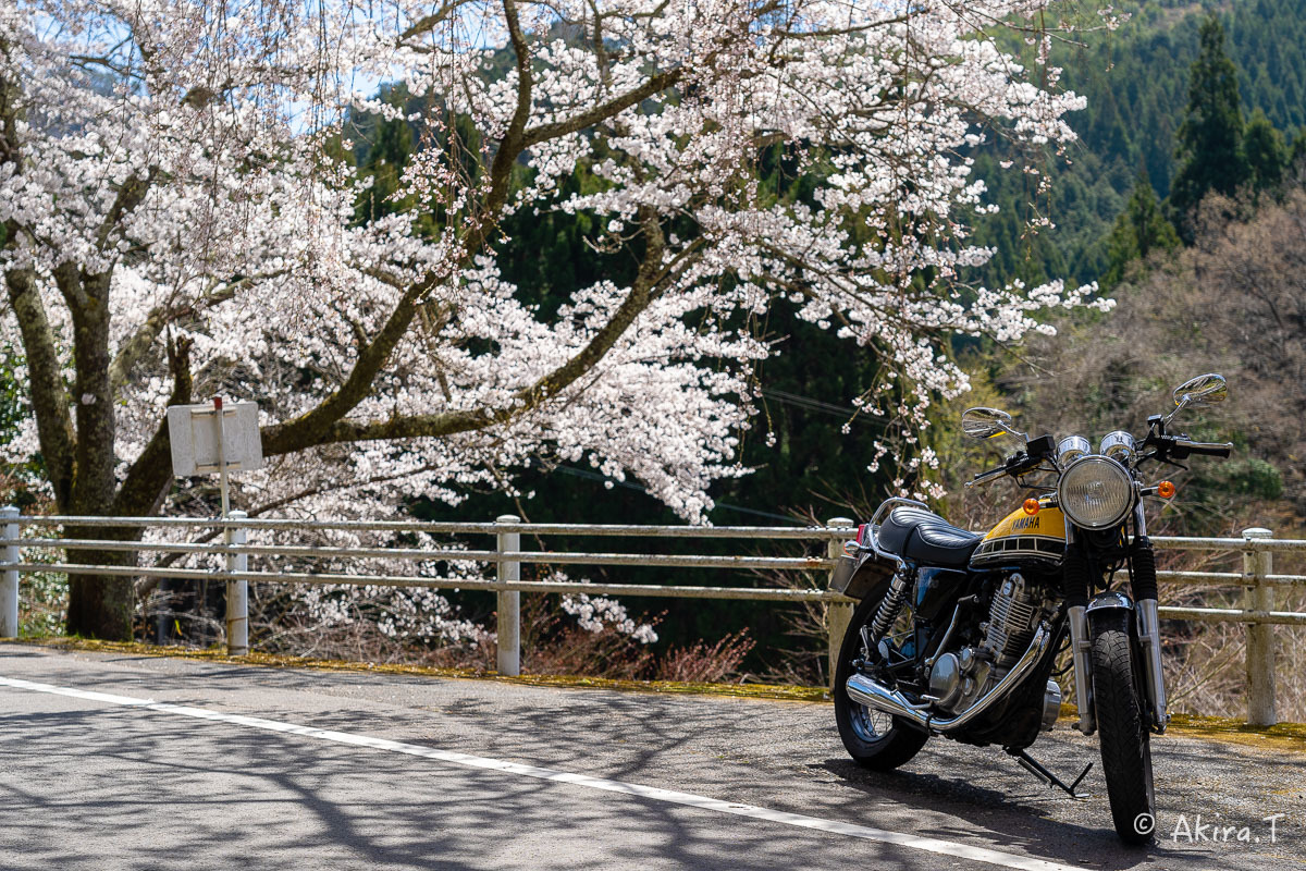 バイクは楽し!! YAMAHA SR400 -51- 🌸_f0152550_18384856.jpg