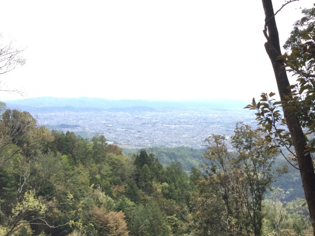 c0073152_23103312.jpg