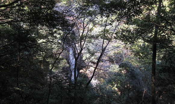e0014154_12142732.jpg