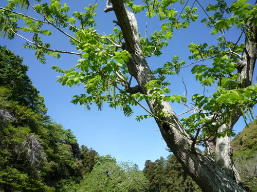 b0045357_13195454.jpg