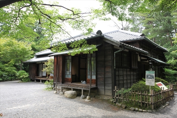 千駄木の夏目漱石旧居跡 猫の家 へ 阪急 阪神沿線文学散歩 千駄木の夏目漱石旧居跡 猫の家 へ 阪急 阪神沿線文学散歩