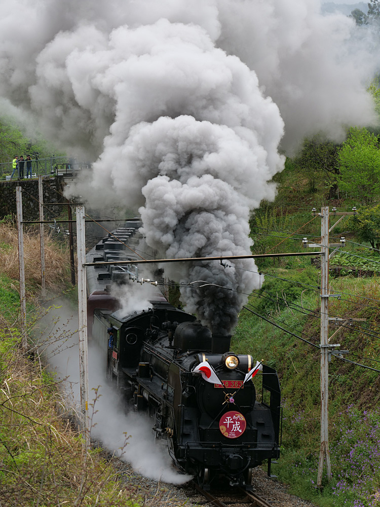 SL PALEO EXPRESSありがとう平成号_f0199866_19590559.jpg