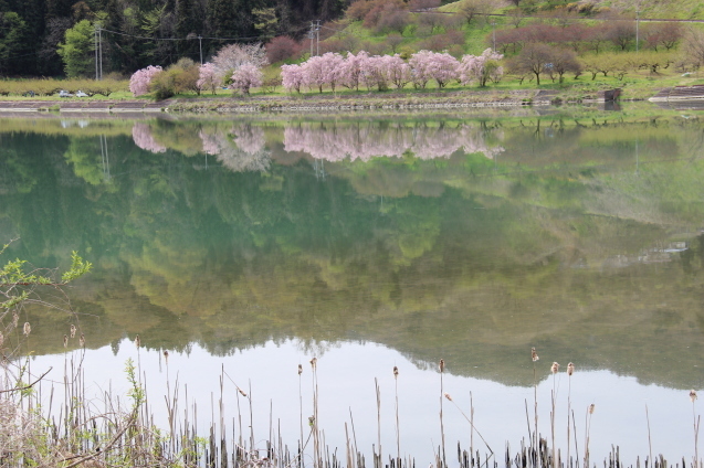 信州新町大町白馬鬼無里小川ルート_f0104169_21065419.jpg