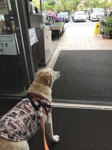 f0315081_22030065.jpeg