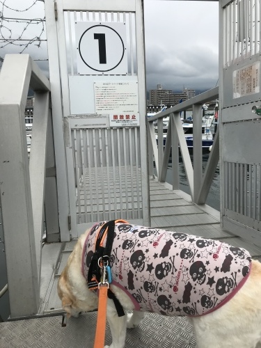 f0315081_22080244.jpeg