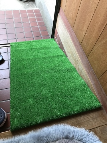 f0315081_22100559.jpeg