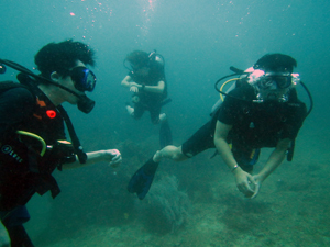 f0144385_20102324.jpg