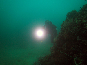 f0144385_20102393.jpg