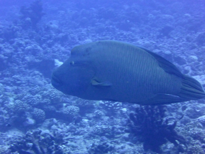 c0147790_02270244.jpg