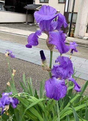 c0122791_23193815.jpg